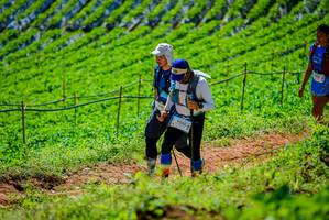 BIB: 0556
                            <button type="button" onclick="openModal(19163630)" class="btn btn-primary btn-sm float-right btn-popup" data-toggle="modal" data-target=".modal-high-quality">
                        <i class="fas fa-shopping-cart"></i> Add to Cart
                    </button>
                                            <button type="button" onclick="isThisMe(19163630, true)" class="btn btn-success btn-sm float-right btn-popup btn-isme hidden" data-toggle="tooltip" data-placement="bottom" title="นี่คือรูปของคุณใช่ไหม คลิกที่นี่เพื่อเอาเข้าอัลบั้ม">
                        <i class="fas fa-plus"></i> Add to album
                    </button>
                    <button type="button" onclick="isThisMe(19163630, false)" class="btn btn-warning btn-sm float-right btn-popup btn-isnotme hidden">
                        <i class="fas fa-ban"></i> Remove from album
                    </button>